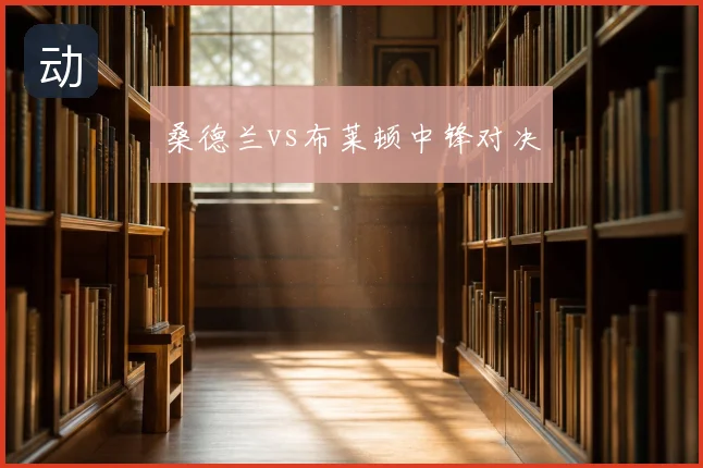 桑德兰vs布莱顿中锋对决